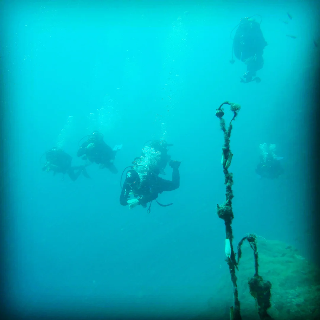 Trogir Reef diving