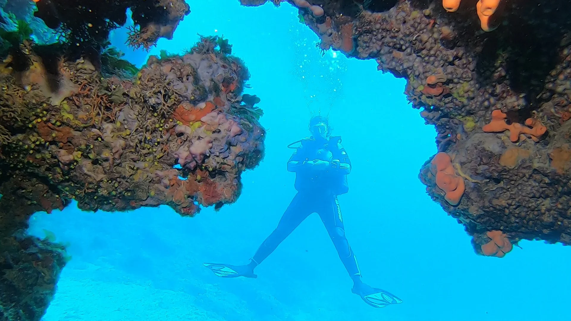 Adventure Diver